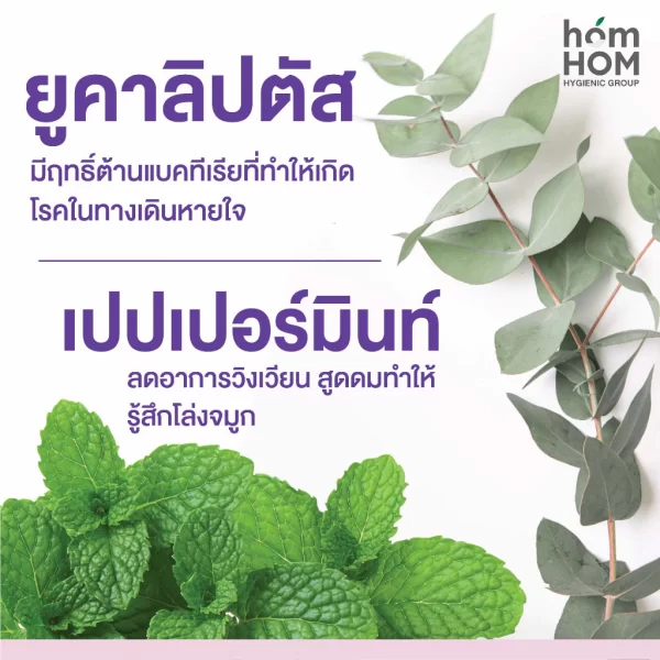 th-11134207-7qul8-lfr409ma2wb3ed แผ่นแปะหอมแดงไทย แก้หวัดคัดจมูก ออแกนิค 100%