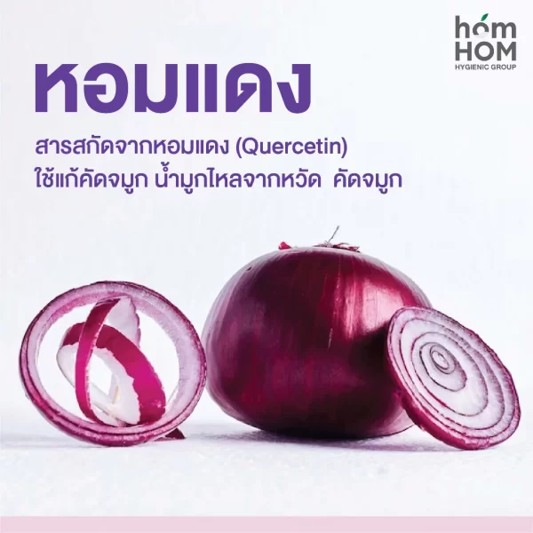 th-11134207-7qul9-lfr409m9xaa6cd แผ่นแปะหอมแดงไทย แก้หวัดคัดจมูก ออแกนิค 100%