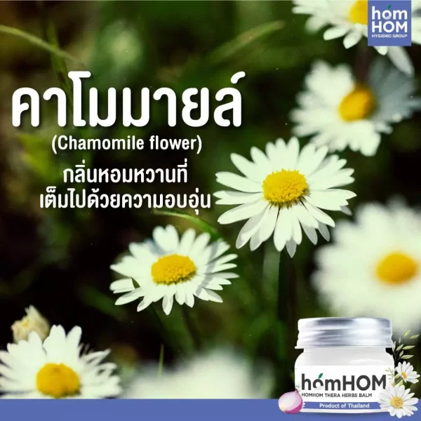 th-11134207-7rash-m2uiyemn9y1f0b บาล์มยูคาลิปตัส กลิ่นโรสแมรี่ คาโมมายด์