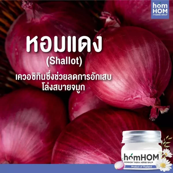 th-11134207-7rask-m2uiyemn9xl830 บาล์มยูคาลิปตัส กลิ่นโรสแมรี่ คาโมมายด์