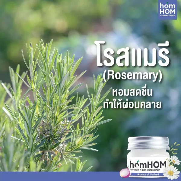 th-11134207-7rask-m3dmno0k7bagc8 บาล์มยูคาลิปตัส กลิ่นโรสแมรี่ คาโมมายด์