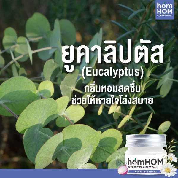 th-11134207-7rasl-m2ui4u8svgi407 บาล์มยูคาลิปตัส กลิ่นโรสแมรี่ คาโมมายด์